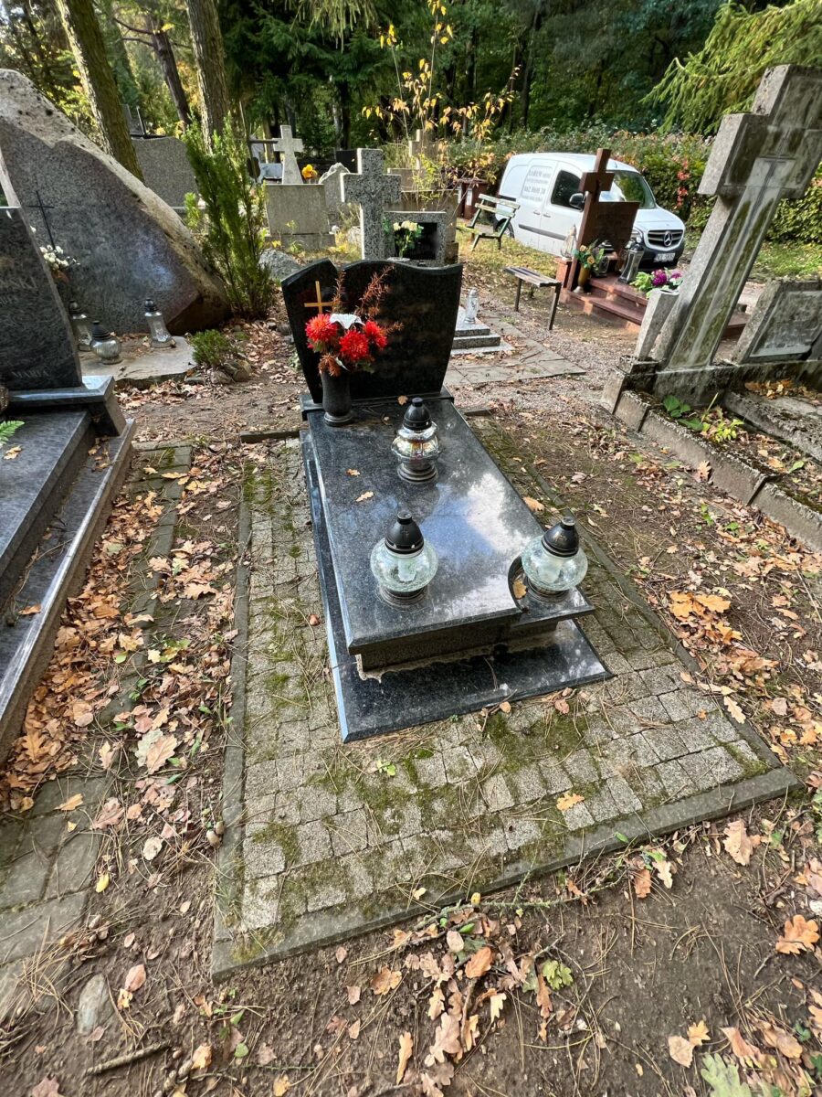 Mech na kostce brukowej i zabrudzony nagrobek z impali – przed czyszczeniem